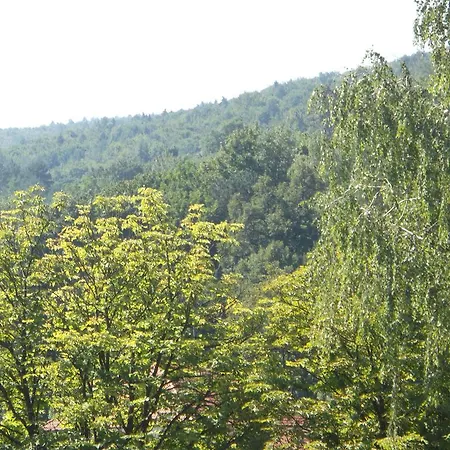 Apartmán Pikk
