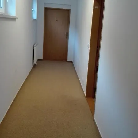 Pikk Apartment *